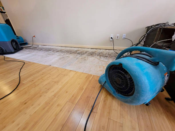 Professional Structural Drying technician working in Greenville, VA